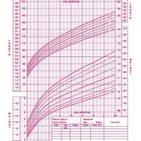 1 Year Growth Chart