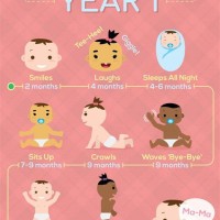 1 Year Old Baby Milestones Chart