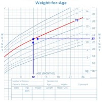 1 Year Weight Chart