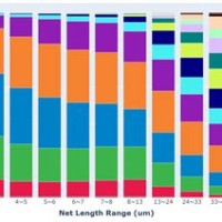 100 Stacked Bar Chart Plotly Python