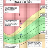 11 Year Old Growth Chart Calculator