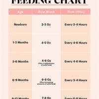 12 Month Baby Food Chart Feeding Schedule