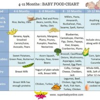 12 Month Baby Food Chart In Tamil