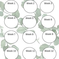 12 Week Weight Loss Countdown Chart