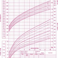 16 Month Growth Chart