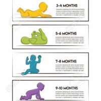 1st Year Baby Development Growth Chart