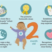 2 Month Old Baby Development Chart