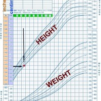 2 Year Old Baby Boy Height And Weight Chart