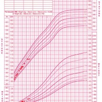 2 Year Old Height Chart