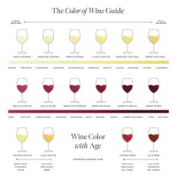 2016 Burgundy Vine Chart