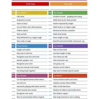 23 Month Old Milestones Chart