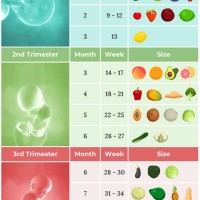 27 Weeks Pregnant How Many Months Chart