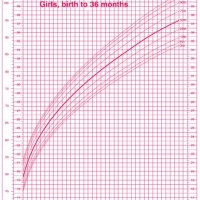 3 1 2 Year Old Growth Chart