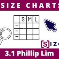 3 1 Phillip Lim Size Chart