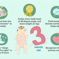 3 Month Old Baby Development Chart