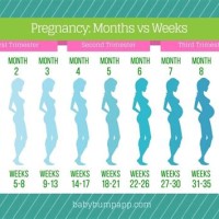 33 Weeks Pregnant In Months Chart