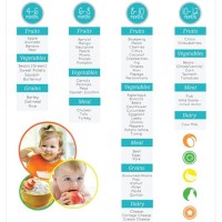 4 Month Baby Food Chart With Time