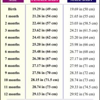 4 Month Baby Length Chart