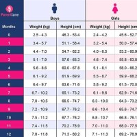 4 Month Old Baby Weight And Height Chart