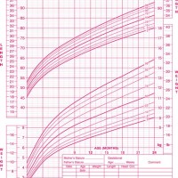 4 Year Old Growth Chart Australia