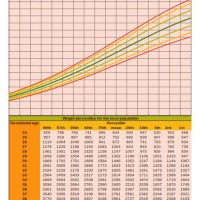 4 Year Old Height And Weight Percentile Chart