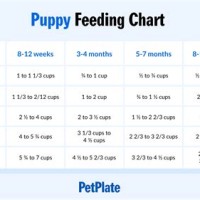 4health Puppy Food Feeding Chart