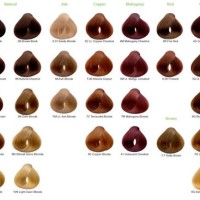 4n Hair Color Chart