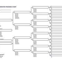 5 Generation Pedigree Chart For Dogs