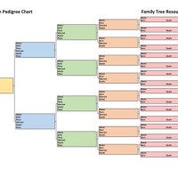 5 Generation Pedigree Chart