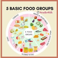 5 Main Food Groups Chart