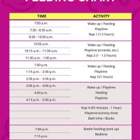 5 Months Baby Food Chart