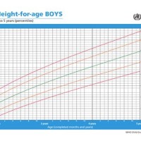 5 Year Boy Growth Chart