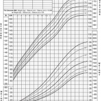 5 Year Old Growth Chart Boy