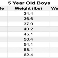 5 Year Old Weight Chart