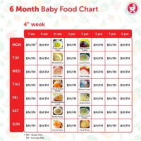 6 Month Baby Food Chart