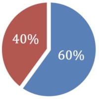 60 40 Pie Chart