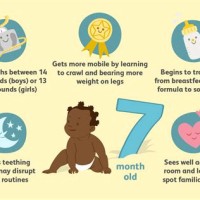 7 Month Baby Growth Chart