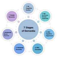 7 Ses Of Dementia Chart