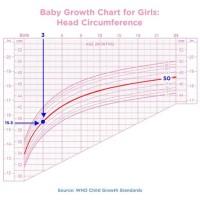 8 Month Old Baby Growth Chart