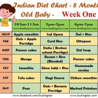 8th Month Old Baby Food Chart