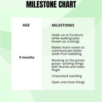 9 Month Old Milestones Chart