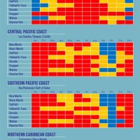 A Rica Fishing Seasons Chart