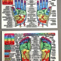Acupressure Points Chart Hand And Foot