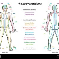 Acupuncture Meridians Chart