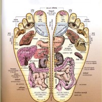 Acupuncture Points Chart Feet