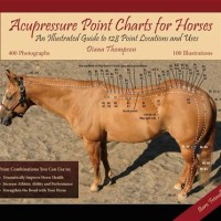 Acupuncture Points Chart For Horses