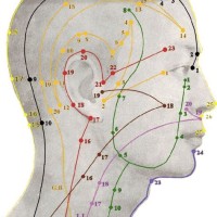 Acupuncture Points Chart Head