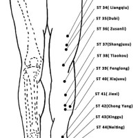 Acupuncture Points Chart Legs