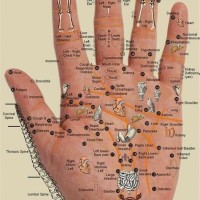 Acupuncture Points Chart