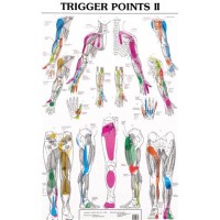 Acupuncture Trigger Points Chart